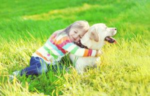 Who gets legal custody of the family pet after divorce?